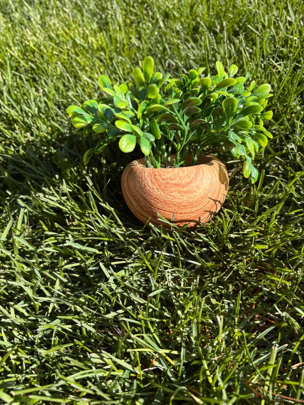 Fake plant